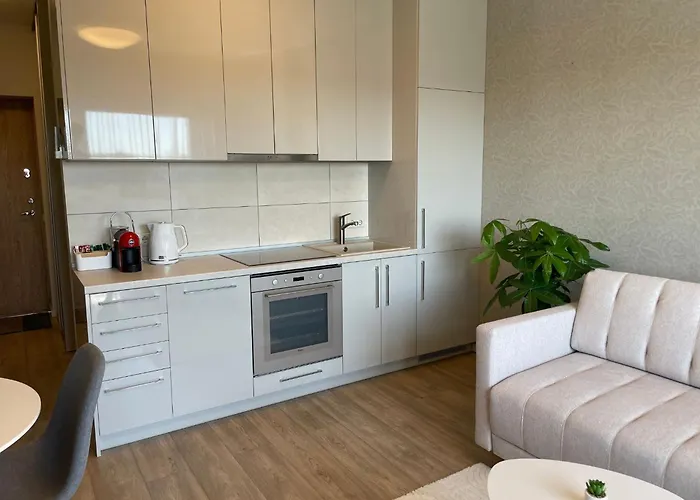 Bright In Palanga-ac-balcony-self Check-in شقة بالانغا